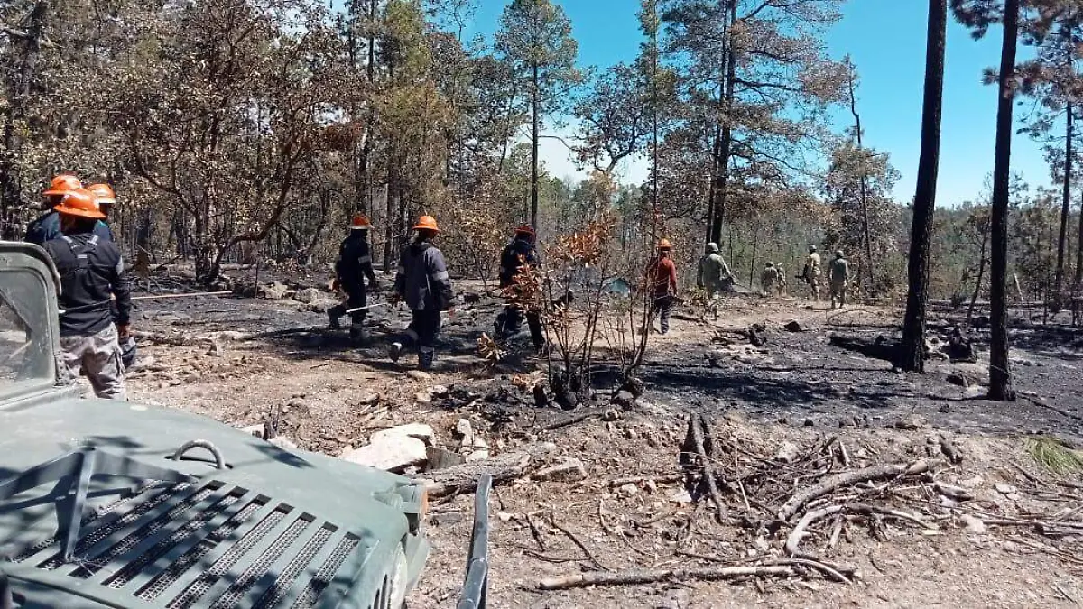 Incendios Chihuahua 